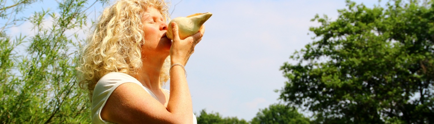 Stella Westerhof Uden sjamanisme