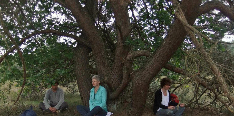 meditatie in de natuur sjamanisme